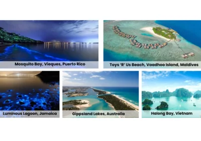 5 Bioluminescent Beaches That Will Make Your Day