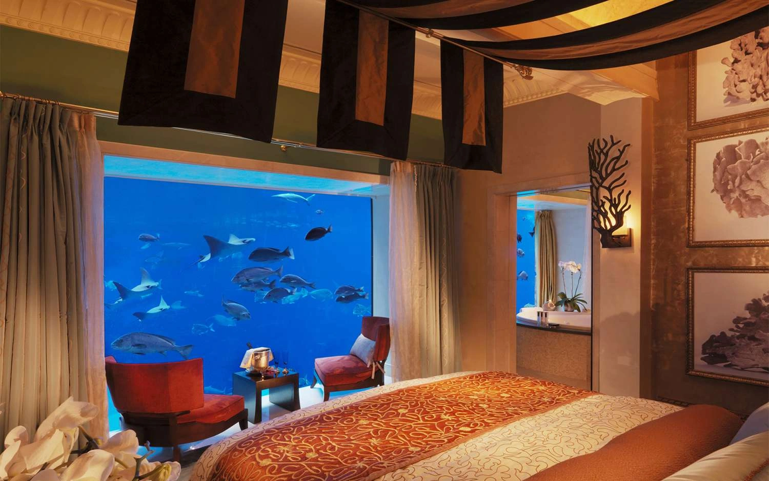 hotel-img