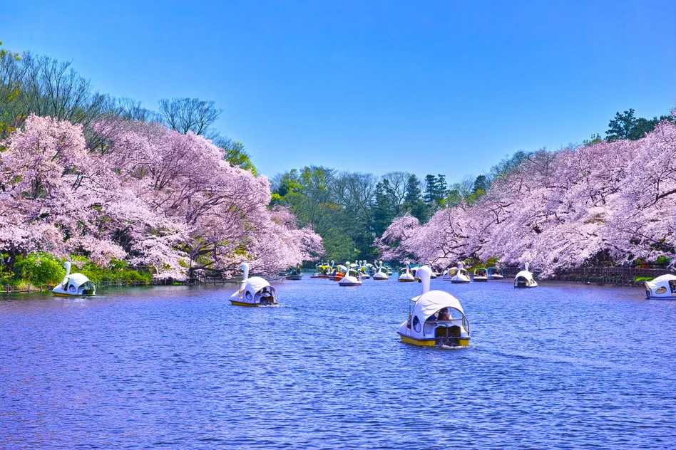 banner-image