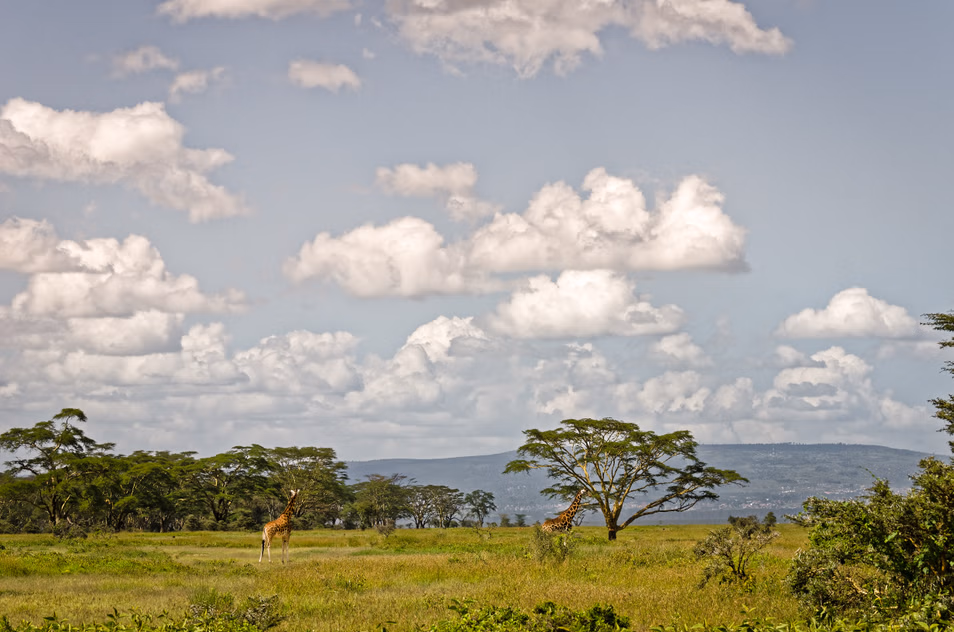 banner-image