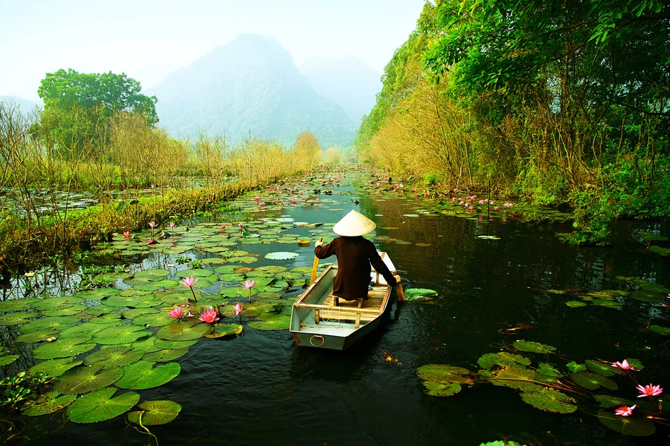 banner-image