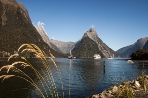Fiordland National Park South Island