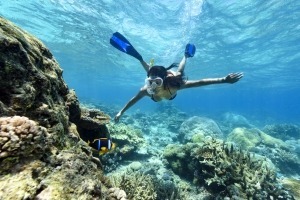 Snorkeling and Diving fiji