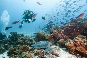Snorkeling and Diving galapagos-islands
