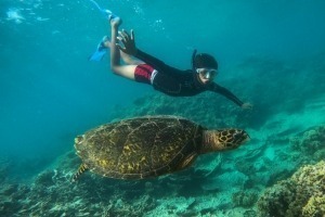 Snorkeling and Diving in Blue Bay Marine Park mauritius
