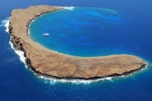 Snorkeling at Molokini Crater maui
