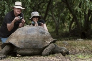 Wildlife Watching galapagos-islands