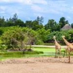 wildlife park in Thailand